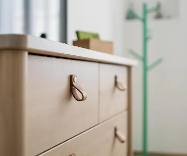 Canonica بولونيا